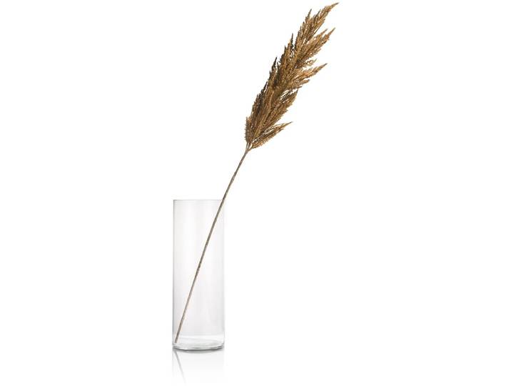 Coco Maison Pampas Grass Spray Kunstpflanze H115cm