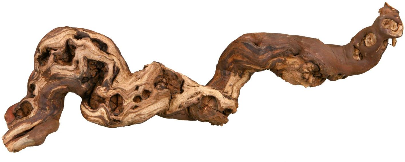 TRIXIE Weinrebe, wassergestrahlt, M: 30–40 cm