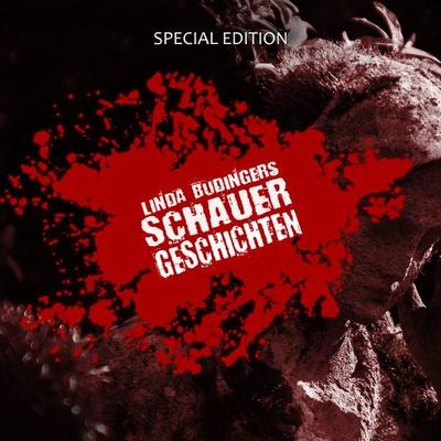 Linda Budingers SCHAUERGESCHICHTEN - Linda Budinger, Audio, 9783941335264