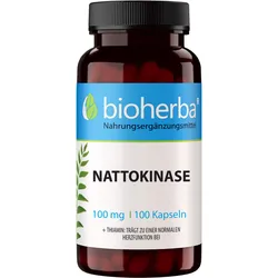 Nattokinase 100 mg 100 ST