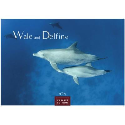 Wale und Delfine Kalender 2027 – Wandkalender | Fotokalender Tierkalender 35x50cm Grosses Format - Hochwertige Fotografien von Walen und Delfinen, die