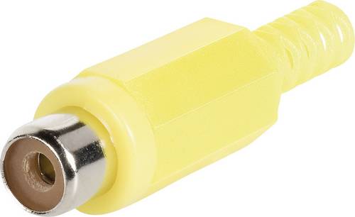 BKL Electronic 072210/T Cinch-Steckverbinder Buchse, gerade Polzahl: 2 Rot