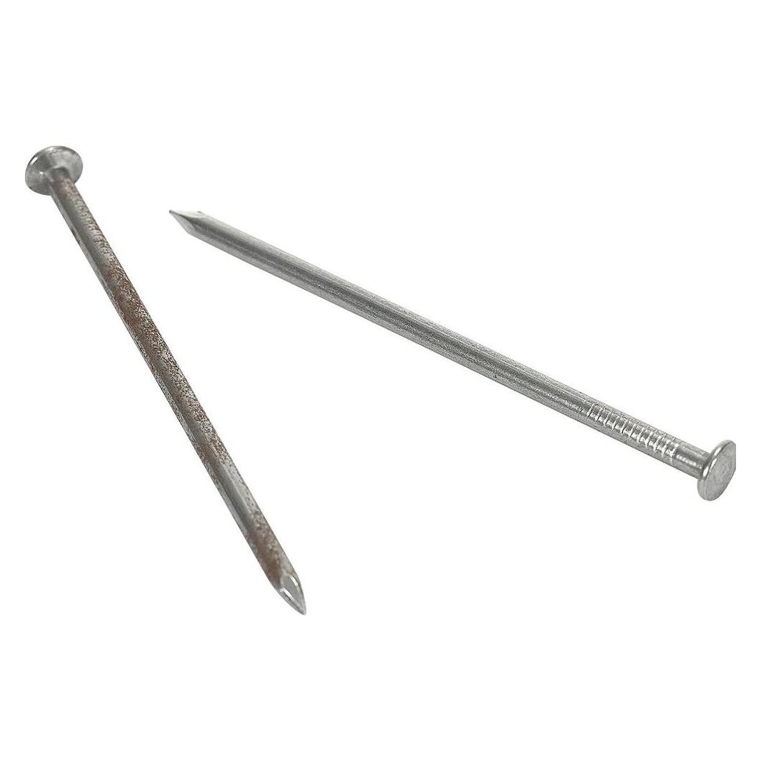 Schweizerische Nagelfabrik Stifte mit Flachkopf (35 mm) (1 1016 9)