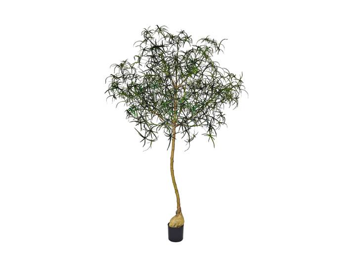 Lebensechte Kunstpflanze „Queensland bottle Tree XL“, Ø 80 x 240 cm Grün Baq Design