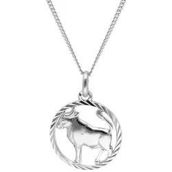 trendor 68260-05 Stier Sternzeichen Halskette Silber 925, 40 cm