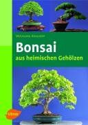Wolfgang Kohlhepp - Bonsais aus heimischen Gehölzen - Preis vom 09.10.2026 07:28:09 h