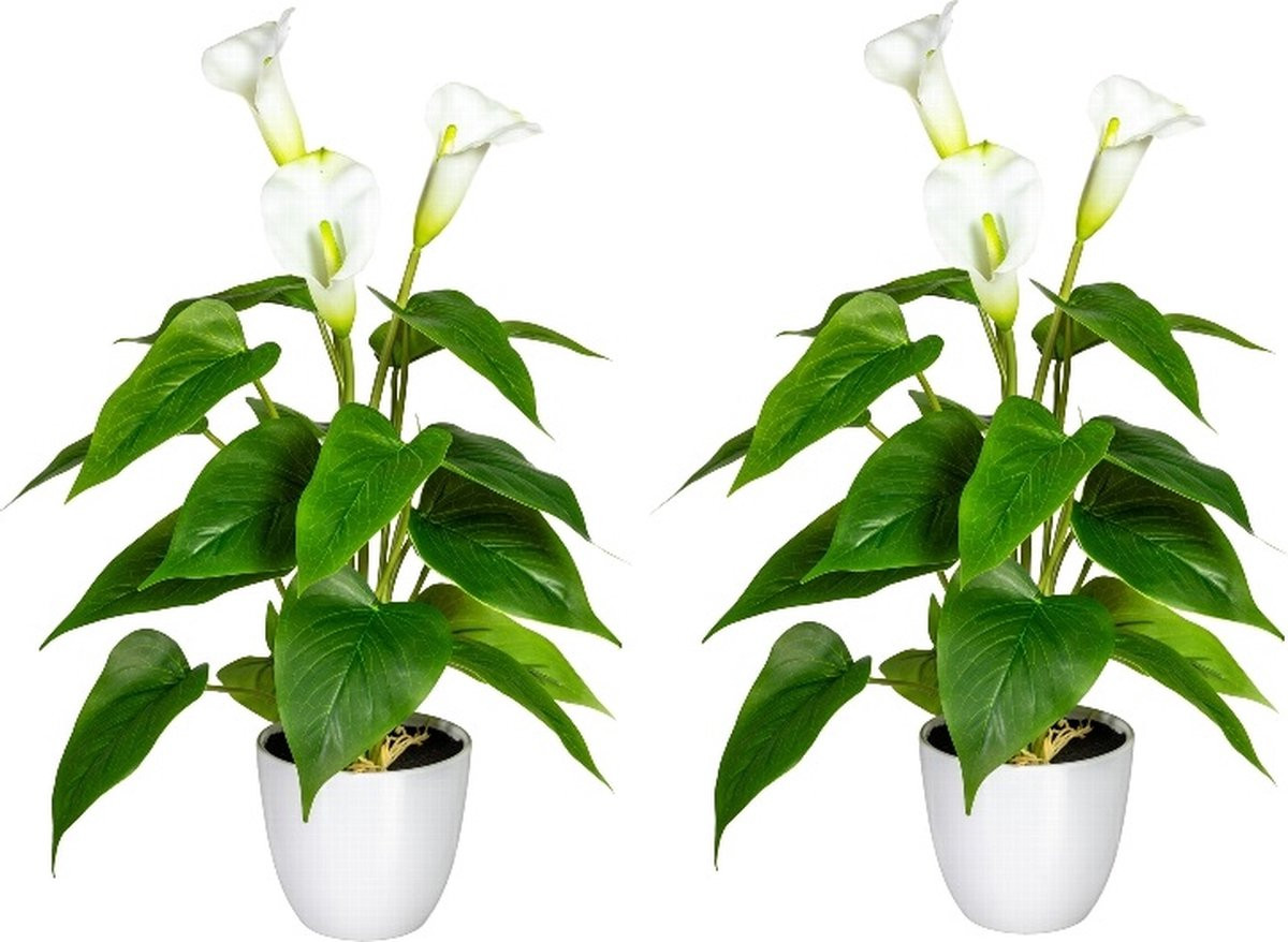 Kopu 2 stuks Calla Kunstplant Wit - Zantedeschia Bekerplant 44 cm
