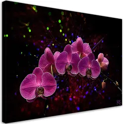 WANDBILD orchidee rosa blumen spa