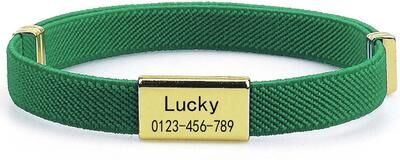 Inspired Finds Personalized Engraved Cat Collar With Custom Name Tag & Breakaway Safety Buckle green