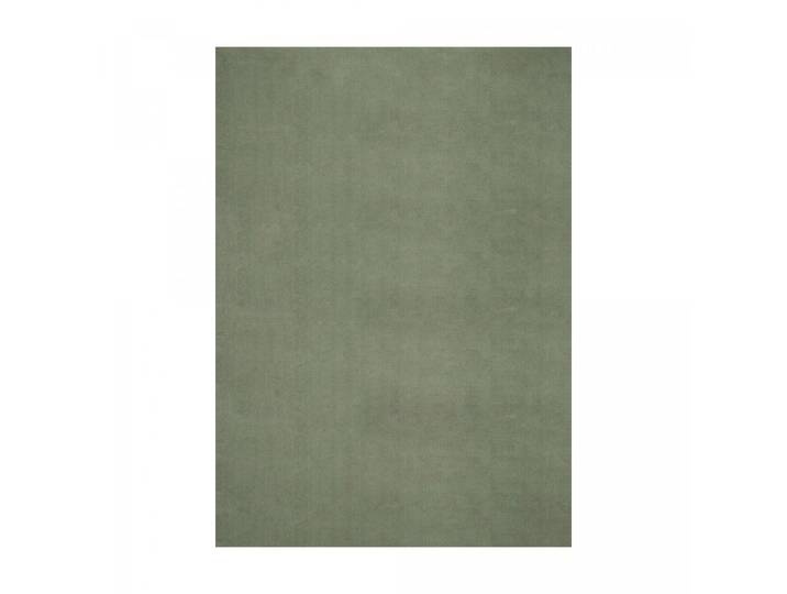 Tapis shaggy à poils longs pour salon 160x220 vert