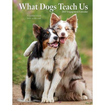 What Dogs Teach Us 2027 6.5 X 8.5 Engagement Calendar