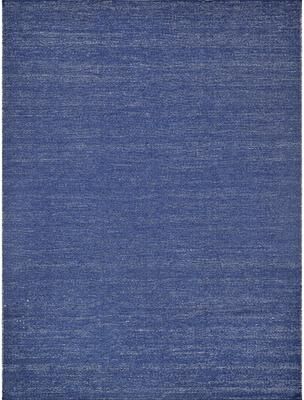 Exquisite Rugs Loro Indoor/Outdoor Flatweave PET yarn Navy Area Rug.