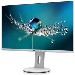 Fujitsu B2711 TE FHD (1920 x 1080 Pixel, 27"), Monitor, Grau