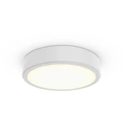 Philips Lighting 3D-LED-Leuchte TCBRMS 19S #86388000