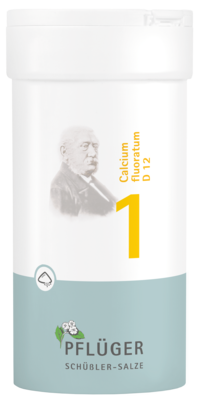 Homöopathisches Laboratorium Alexander Pflüger GmbH & Co. KG BIOCHEMIE Pflüger 1 Calcium fluoratum D 12 Pulver 100 g 06323112
