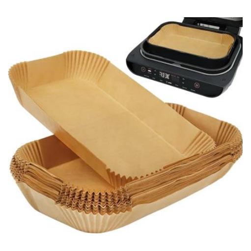 Scanpart Backp.Heissluftf.31x20,5 100ST (2910070010)
