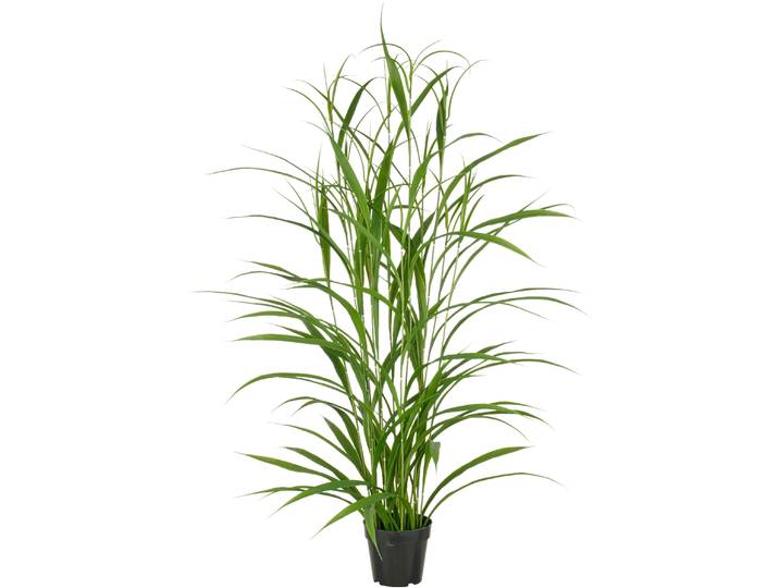 Kunstgras CREATIV GREEN Grasbusch , grün, H:130cm, Kunststoff, Kunstpflanzen, Kunstgras, mit filigranen Grashalmen