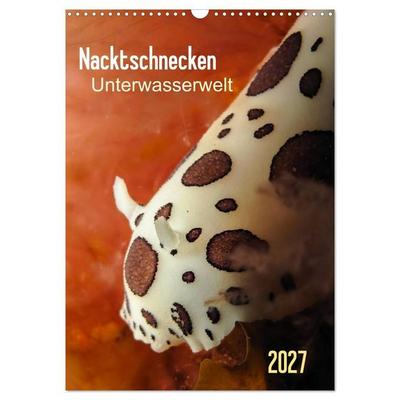 Nacktschnecken - Unterwasserwelt 2027 (Wandkalender 2027 DIN A3 hoch), CALVENDO Monatskalender