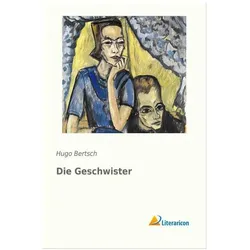 Bertsch:Die Geschwister, Belletristik von Hugo Bertsch