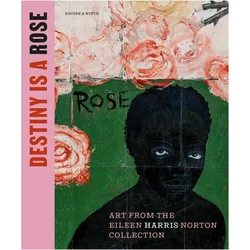 Destiny Is a Rose: Art from the Eileen Harris Norton Collection, Fachbücher von Kellie Jones, Ingrid Schaffner