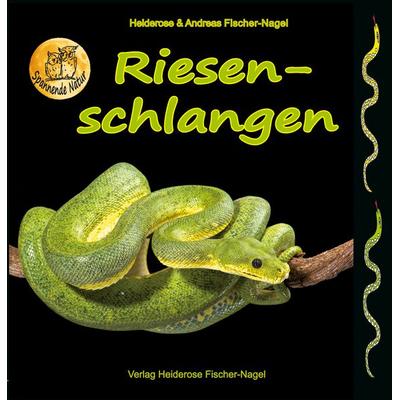 Riesenschlangen, Gebundene Ausgabe von Heiderose Fischer-Nagel,Andreas Fischer-Nagel, Fischer-Nagel, H, 978-3-930038-96-1