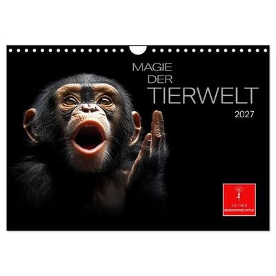 Magie der Tierwelt (Wandkalender 2027 DIN A4 quer), CALVENDO Monatskalender