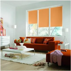 Büscher Sunlines Seitenzug-Rollo mit Lichtschutz orange, 82x180 cm