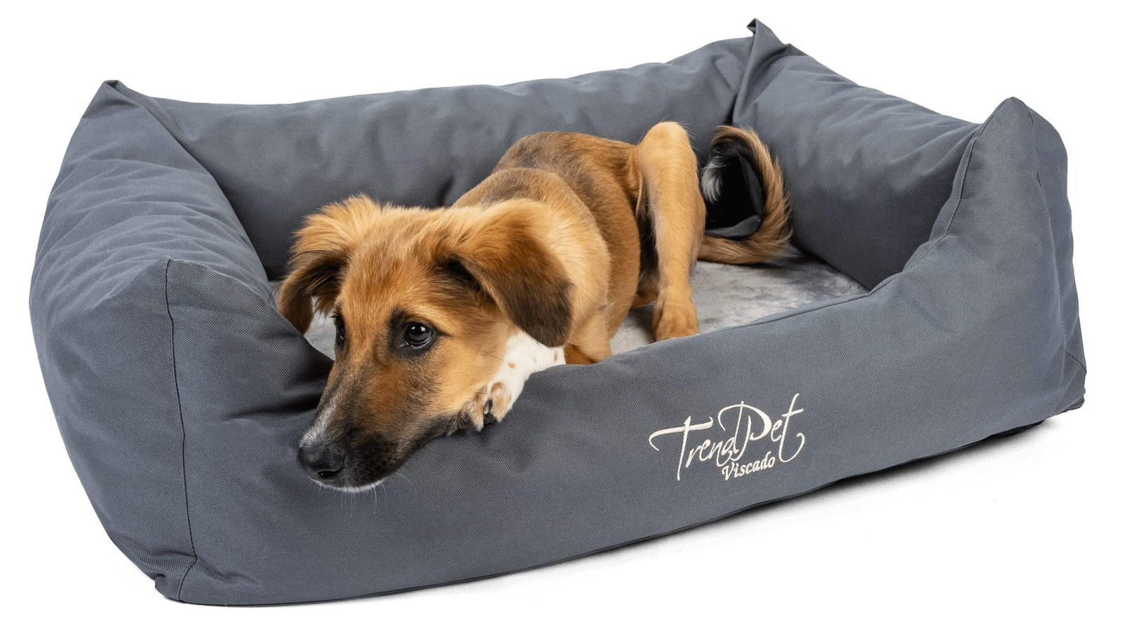 Orthopedisch hondenbed Viscado, grijs