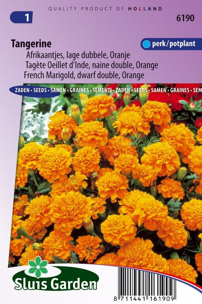 Sluis Garden Tagetes Patula zaden Tangerine afrikaantje
