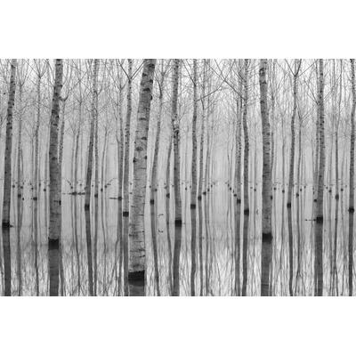 Fototapete PAPERMOON "Photo-Art AGLIONI SIMONE, NOVEMBER 2014", bunt, B:4,5m L:2,8m, Vlies, Tapeten