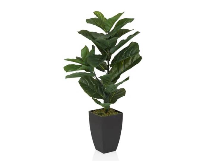 hjh OFFICE Plante Artificielle 80cm LYRATA Plante décorative Artificielle avec Pot\, figuier Exotique pour Salon Chambre Bureau