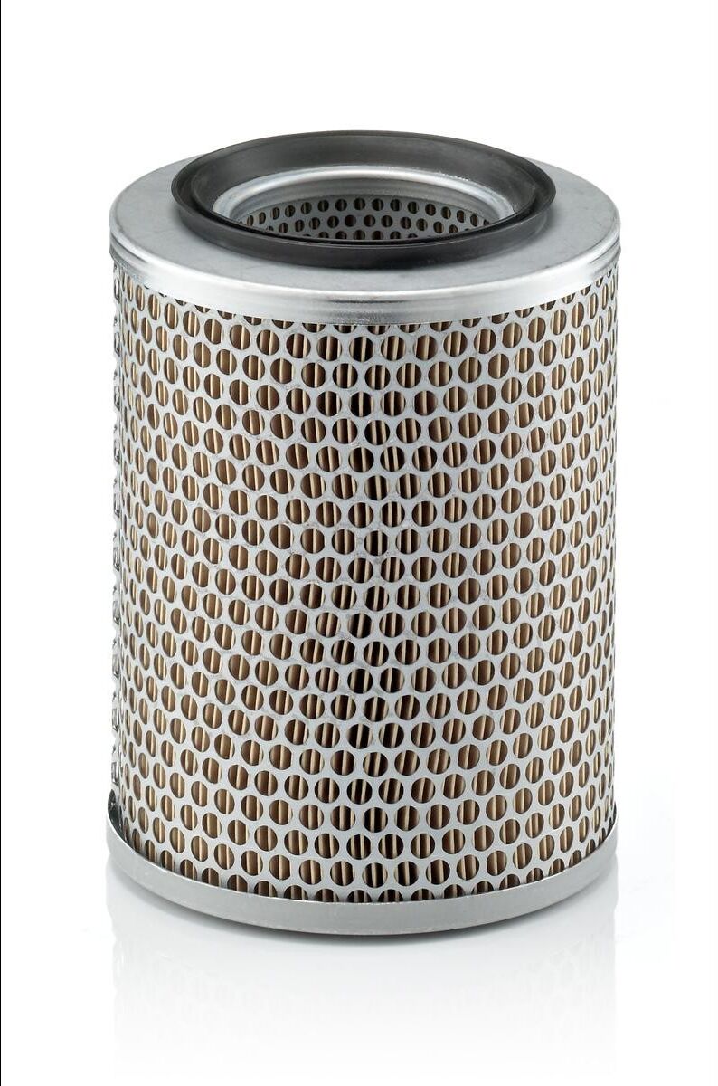 MANN-FILTER C 17 134 Air filter