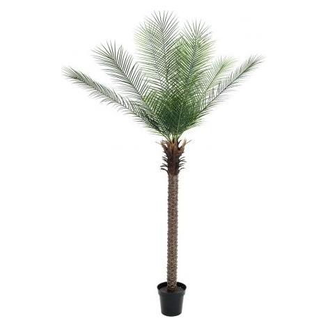 Europalms Phönix Palme deluxe, Kunstpflanze 220cm (220 cm) (82509722)
