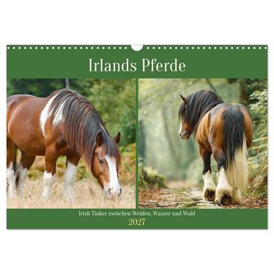 Irlands Pferde. Irish Tinker zwischen Weiden, Wasser und Wald (Wandkalender 2027 DIN A3 quer), CALVENDO Monatskalender