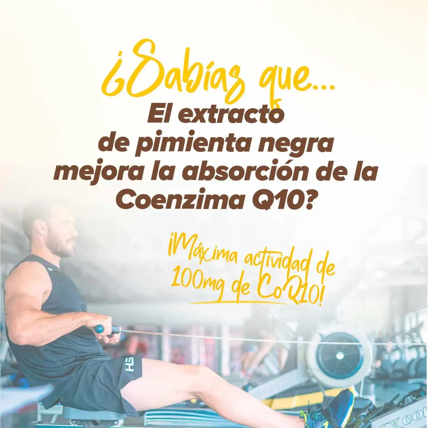 HSN Coenzima Q10 100mg + BioPerine® - 120 veg caps - Antioxidantes - Cápsulas Vegetales - 120  Servicios