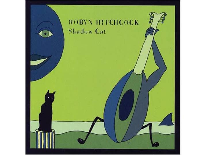 Shadow Cat