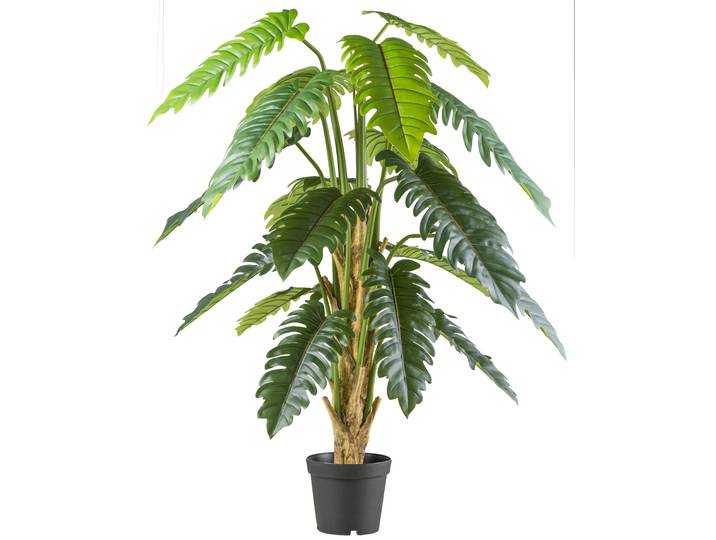 Kunstbaum CREATIV GREEN Philodendron xanadu , grün, H:195cm, Kunststoff, Kunstpflanzen, Kunstbaum, mit großformatigem Blattwerk