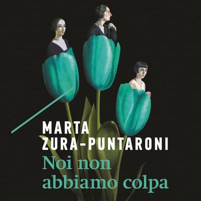 Noi non abbiamo colpa - Marta Zura-Puntaroni, Audio, 9789180296311