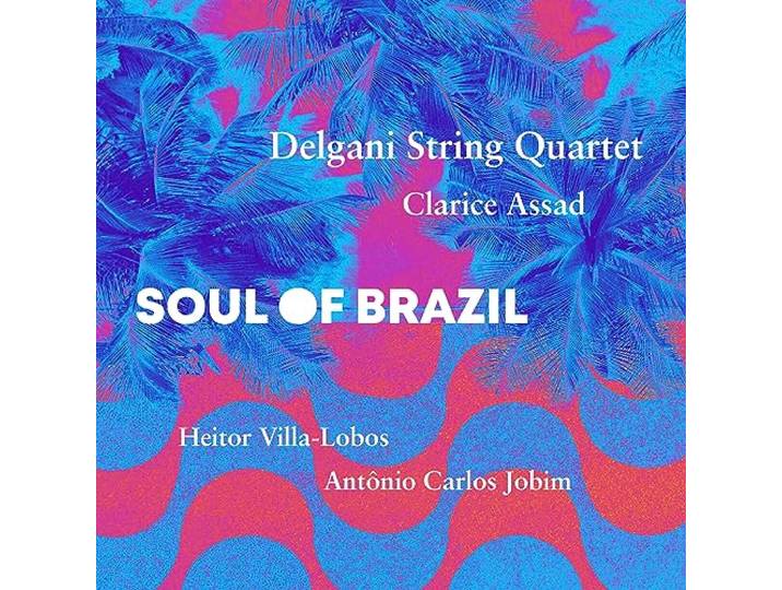 Soul of Brazil