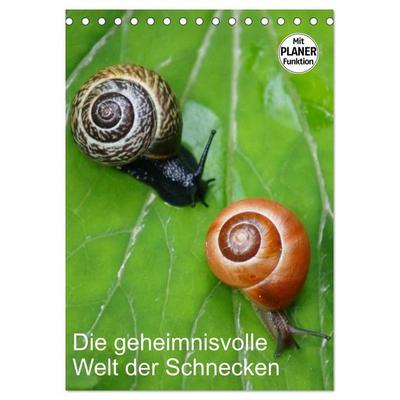 Die geheimnisvolle Welt der Schnecken (Tischkalender 2027 DIN A5 hoch), CALVENDO Monatskalender