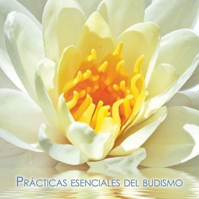 Prácticas esenciales del budismo - Gueshe Kelsang Gyatso, Audio, 9788418368219