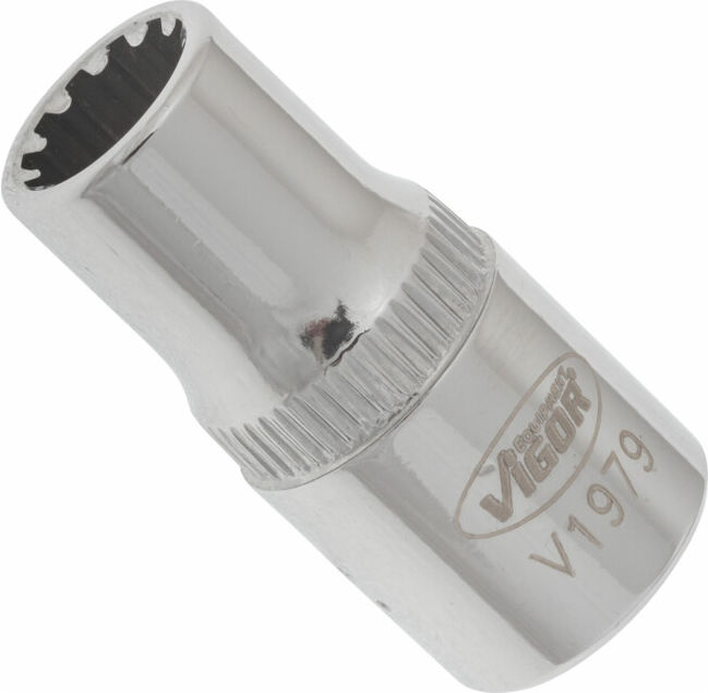 VIGOR Douille à empreinte multiprofil intérieur carré 6,3 mm (1/4