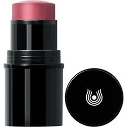 DR. HAUSCHKA Lip to Cheek - rot