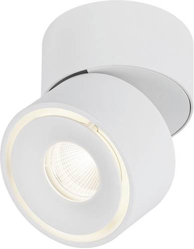 Paulmann 93373 Spircle LED-Aufbauleuchte LED LED fest eingebaut 8W Weiß