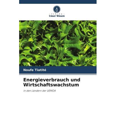 Energieverbrauch und Wirtschaftswachstum, Taschenbuch von Noufe Tiatité, Verlag Unser Wissen