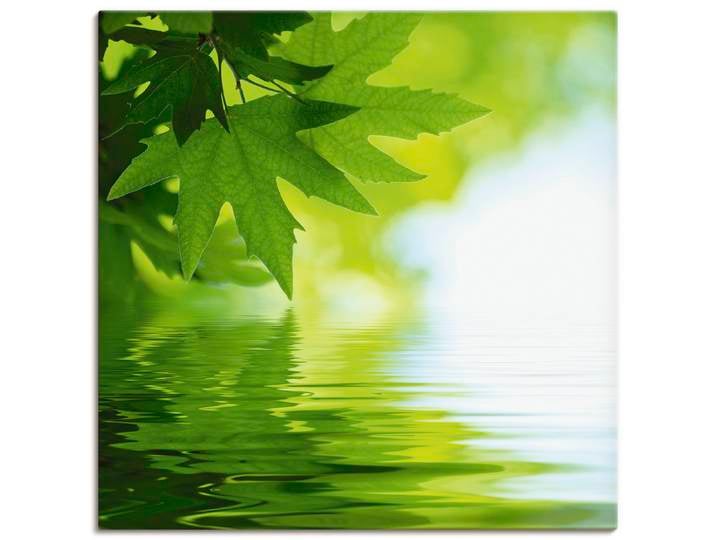Leinwandbild ARTLAND Grüne Blätter reflektieren im Wasser , grün (farbe bild(er): grün), B:40cm H:40cm, Bilder, Leinwandbild, auf Holzrahmen gespannt