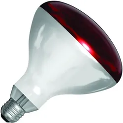 SPL | IR-Lampe R-Lampe/Reflektorlampe | Große Fassung E27 | 250W
