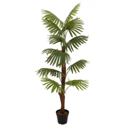 EUROPALMS Fächerpalme, Kunstpflanze, 155cm