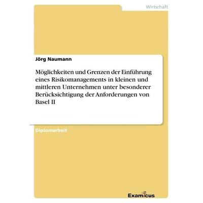 Möglichkeiten und Grenzen der Einführung eines Risikomanagements in kleinen und mittleren Unternehmen unter besonderer Berücksichtigung der