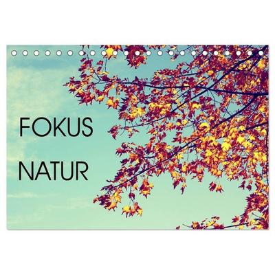 Focus Natur (Tischkalender 2027 DIN A5 quer), CALVENDO Monatskalender